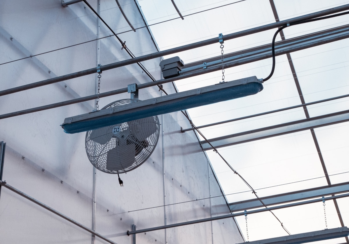commercial content Agricultural greenhouse lighting and fan system